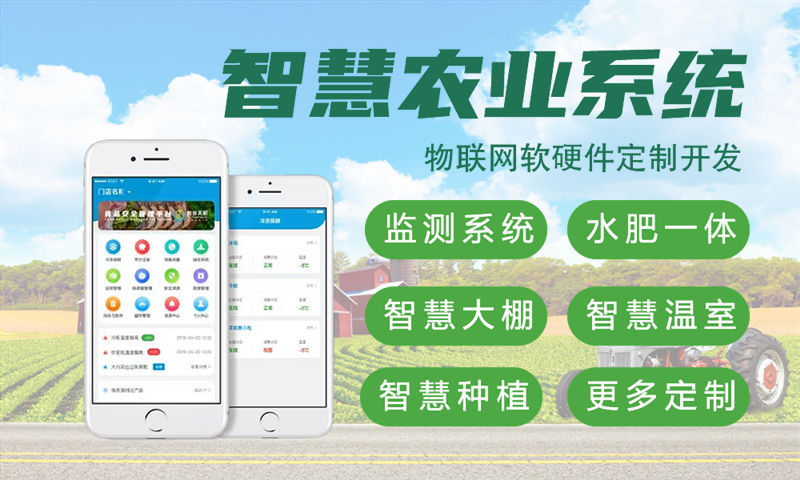单片机开发：构建智能化物联网解决方案的核心技术