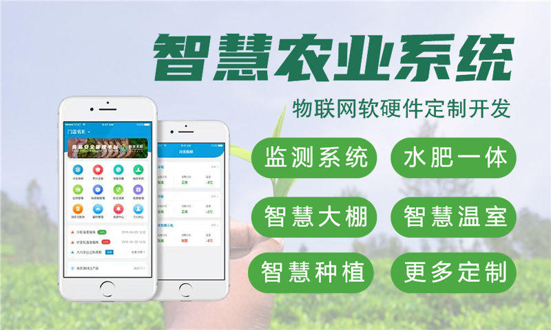 广州物联网与单片机开发技术详解
