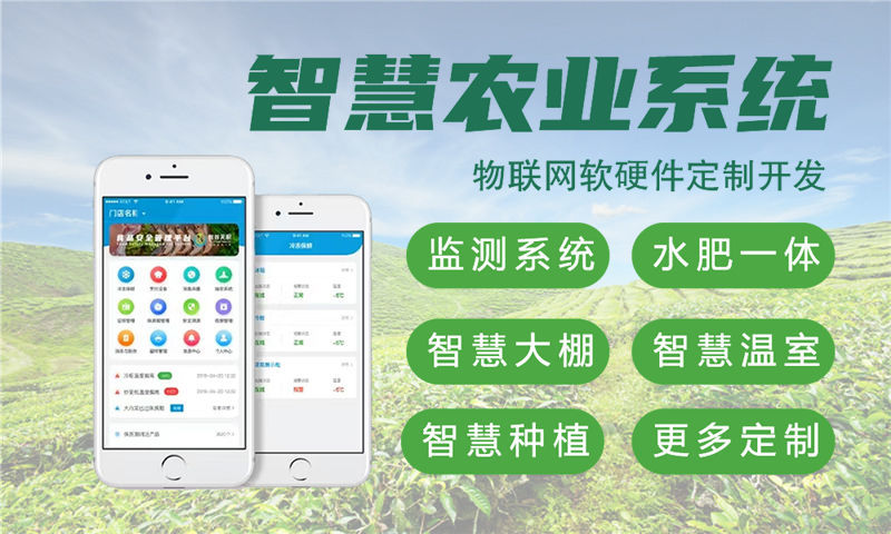 合肥物联网智能解决方案与STM32单片机技术应用