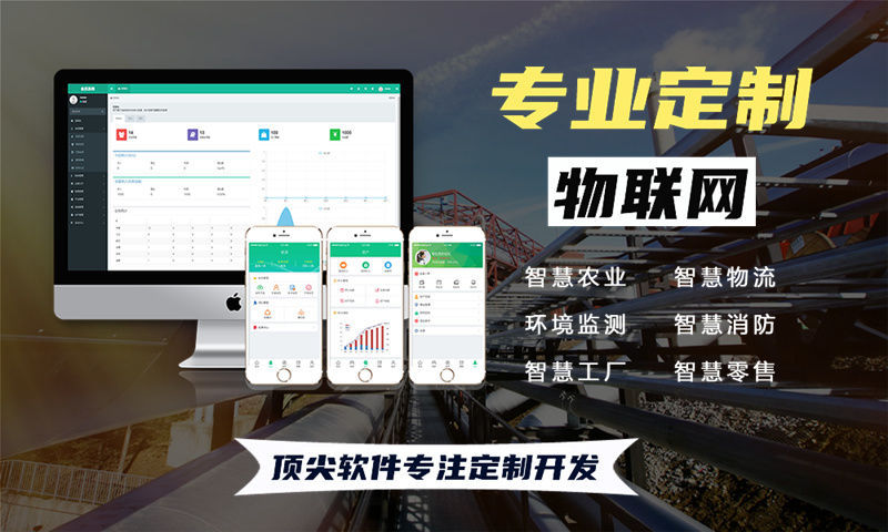 成都物联网与单片机开发技术详解及项目规划指南