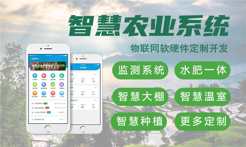 武汉物联网与单片机开发技术详解及项目实施建议