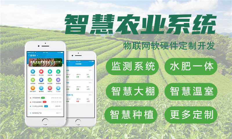 天津物联网系统开发案例详解：多场景智能监测解决方案