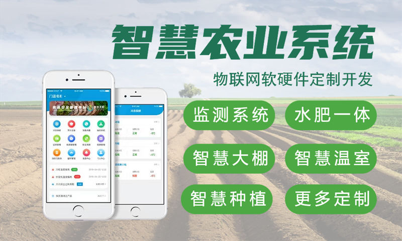 佛山物联网与单片机开发全面解析：系统模块、技术选型与开发周期详解