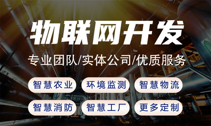 泉州物联网系统开发案例展示：多场景智能检测解决方案详解