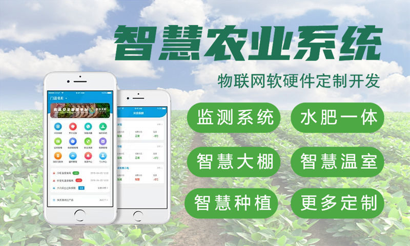 烟台物联网与单片机开发全解析：系统架构、模块设计与技术难点分析