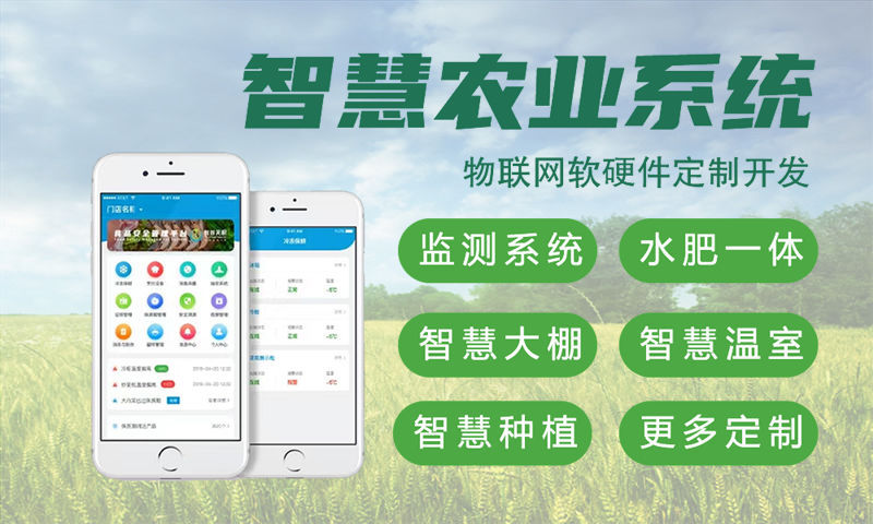 常州物联网与单片机开发系统全解析：从水质检测到智能家居的模块化设计与技术实现