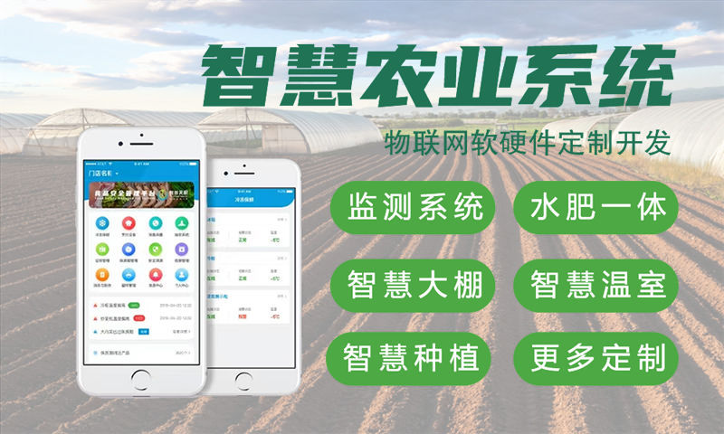 重庆物联网单片机开发解决方案：基于STM32与ESP32的智能水质监测系统设计与实现
