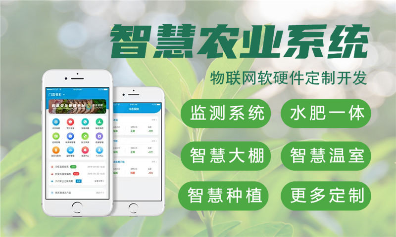 合肥物联网与单片机开发系统详解：涵盖水质油烟河道交通安防智能家居等多场景应用技术方案