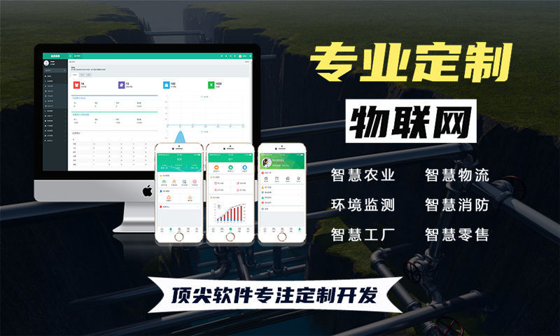 成都物联网系统开发案例展示：多场景智能监测系统的功能模块与技术实现详解