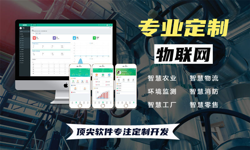 福州物联网系统开发案例展示：多场景智能监测系统的功能模块与技术实现详解