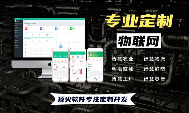 青岛物联网开发与单片机系统设计全解析：涵盖水质油烟河道交通安防智能家居等多场景应用