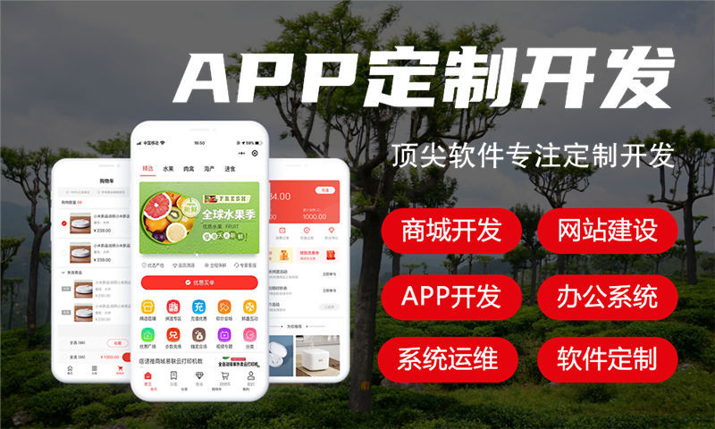 常州元气水机商业模式解析系统开发（源码开发）专业解决方案