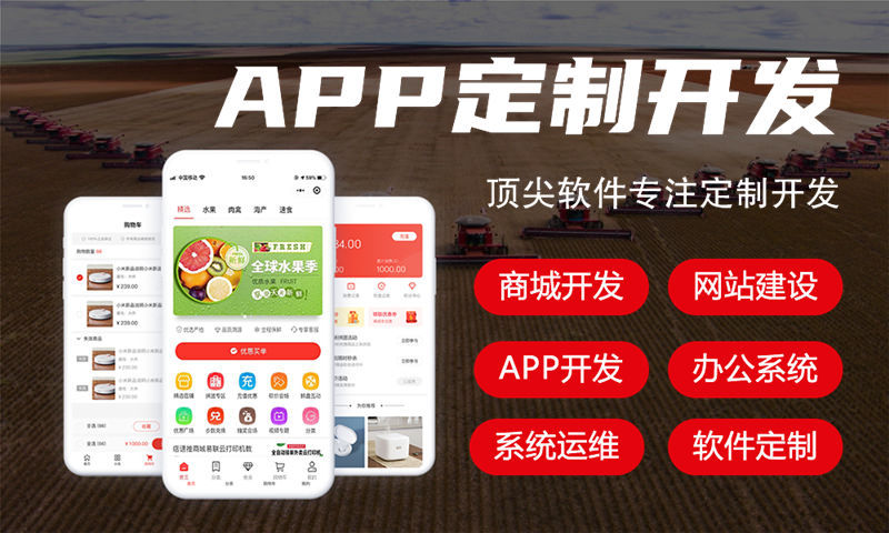 杭州双轨二二复制大公排商城系统专业解决方案