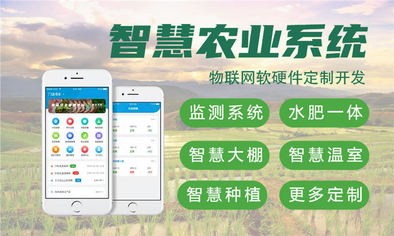 南京物联网开发解决方案：驱动开发助力企业数字化转型